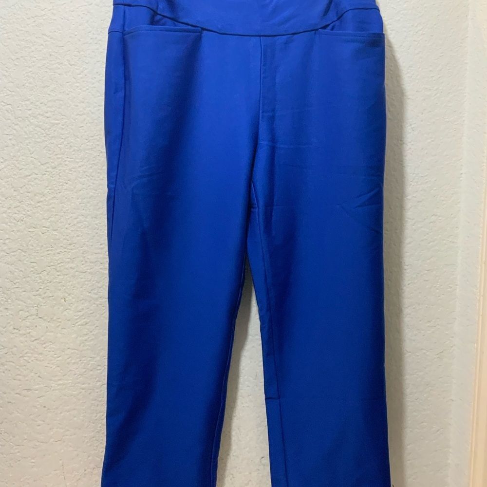 AceGolfs Performance Stretch Ankle Pants EAGLE 28 Inch Size M Blue